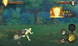 鸣人爆料 哪里看视频,揭秘视频观看秘境